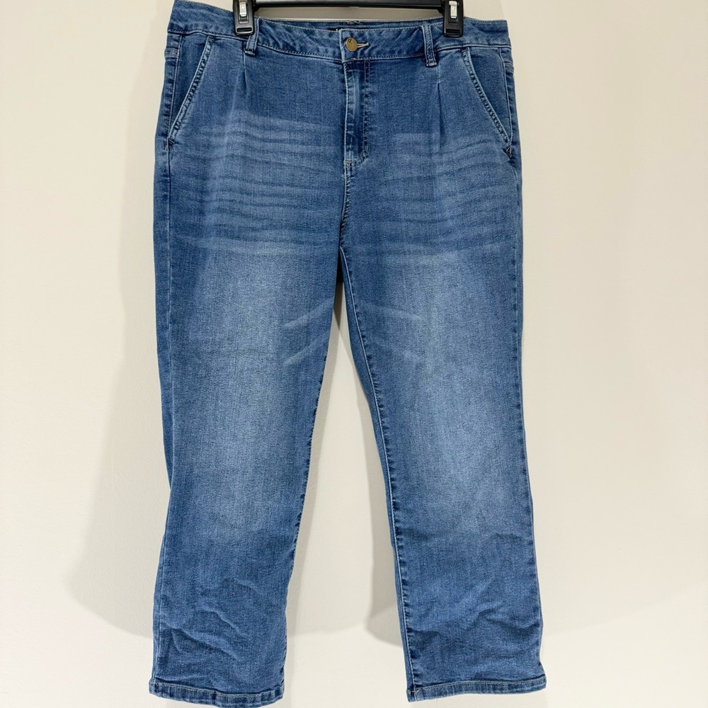 D. Jeans Cotton Blend High Waisted Denim Jeans Size 14 (24 inch inseam)